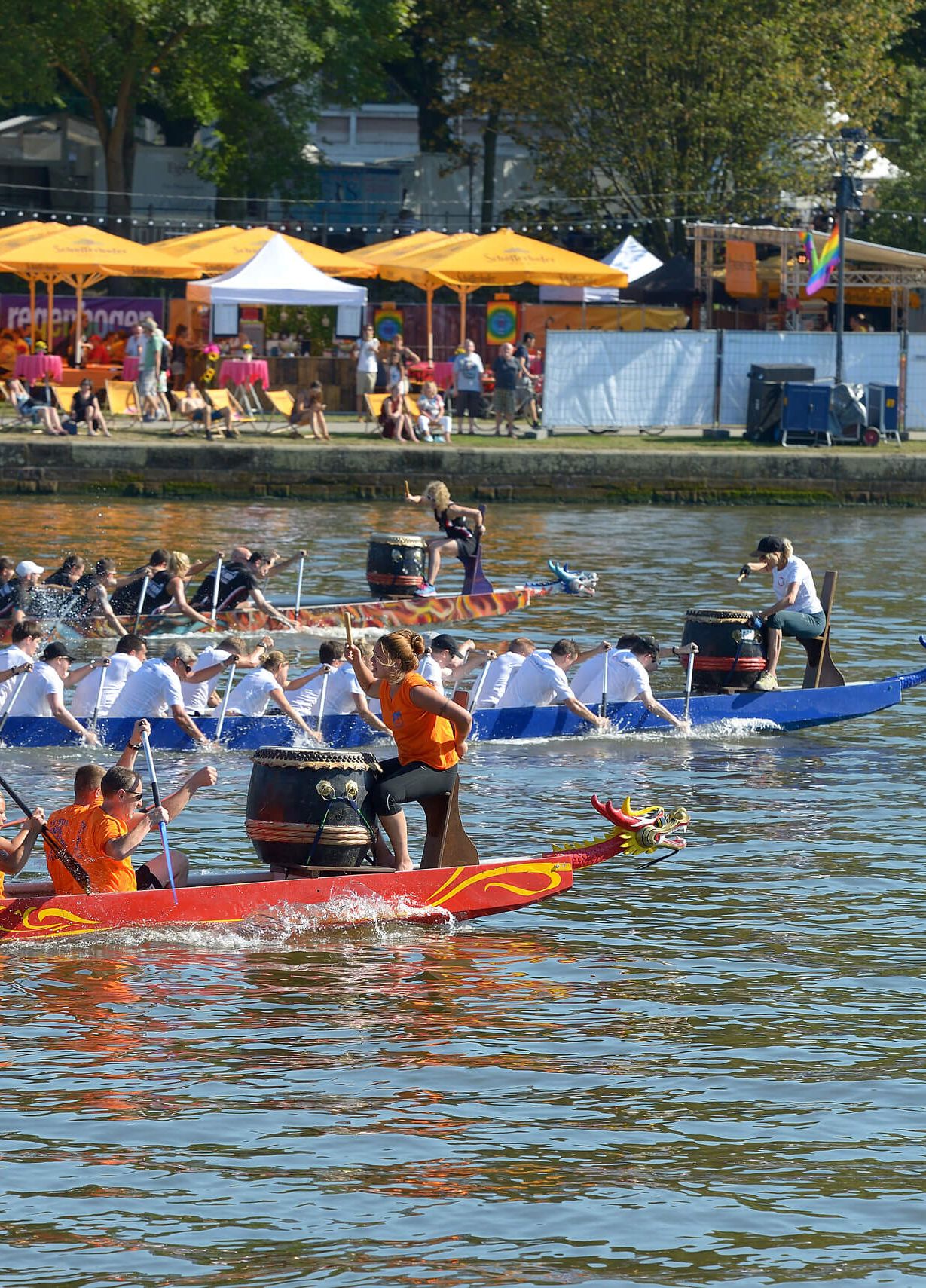 Teams in Drachenbooten paddeln auf dem Main während eines Rennens, Zuschauer*innen und bunte Festzelte im Hintergrund.